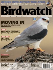 Birdwatch UK - 04.2022