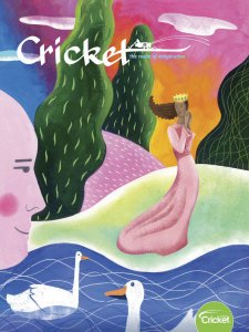 Cricket - 02.2019