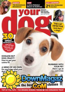 Your Dog - 06.2017