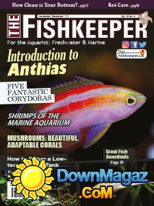 The Fishkeeper - 11/12 2017