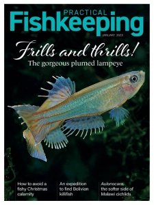 Practical Fishkeeping - 01.2023