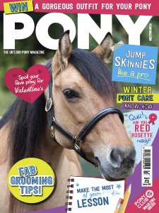 Pony - 03.2018