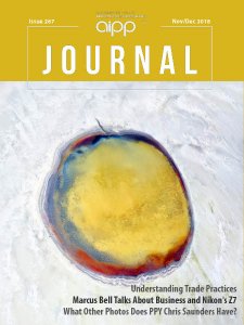 AIPP Journal - 11/12 2018