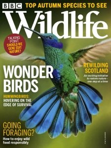 BBC Wildlife - 09.2021