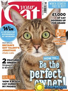 Your Cat - November 2014