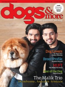 dogs & more - 01/02 2018