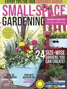 Flea Market Decor - Small Space Gardening 2015