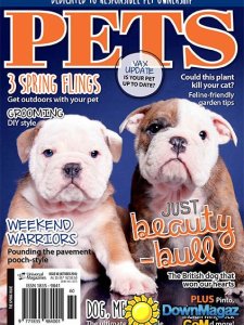 Pets - October 2016