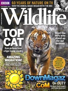 BBC Wildlife - 09.2017