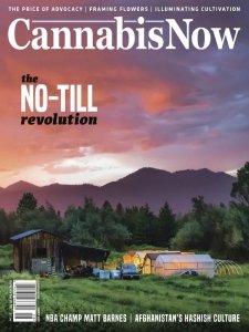 Cannabis Now - Summer 2021