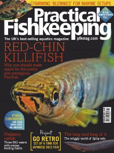 Practical Fishkeeping - 02.2019