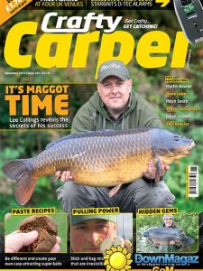 Crafty Carper - November 2014