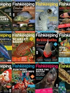 Practical Fishkeeping - 2021 Full Year