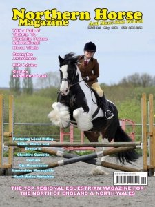 Northern Horse - 05.2024