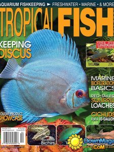 Tropical Fish Hobbyist - December 2013