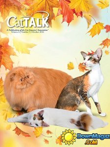 Cat Talk - October 2016