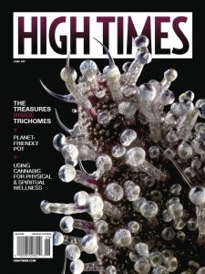 High Times - 06.2022