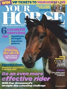 Your Horse - 10.2019