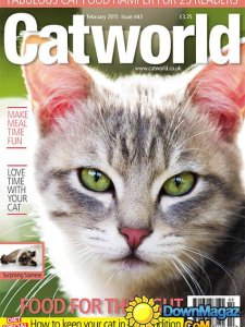 Catworld - February 2015