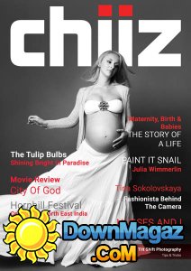 Chiiz - Volume 2 2017