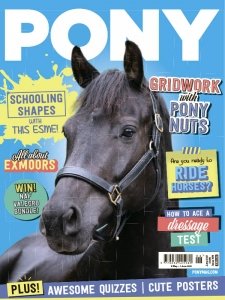 Pony - 06.2021