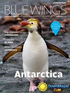 Blue Wings - February 2015