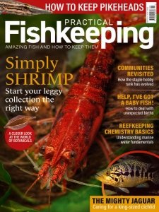 Practical Fishkeeping - 03.2024