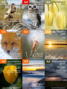 SLR Photography Guide - 2018 Full Year