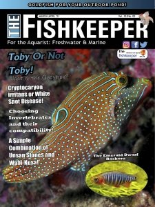 The Fishkeeper - 03/04 2021