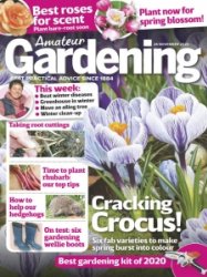 Amateur Gardening - 28.11.2020