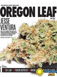 Oregon Leaf - June 2015