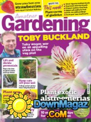 Amateur Gardening - 25.03.2017