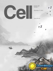 Cell - 17 December 2015