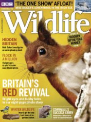 BBC Wildlife - 02.2018