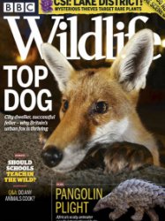 BBC Wildlife - 03.2020