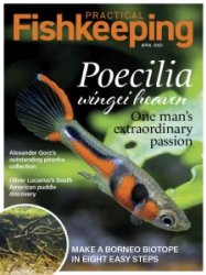 Practical Fishkeeping - 04.2023