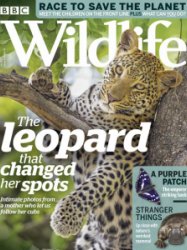 BBC Wildlife - 07.2019