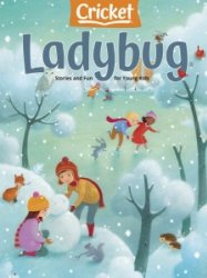 Ladybug - 01.2022