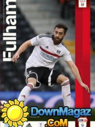 Fulham FC vs. Wigan Athletic - 11.02.2017