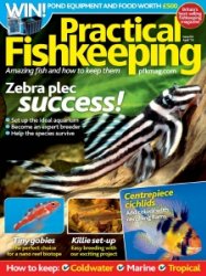 Practical Fishkeeping - 04.2014