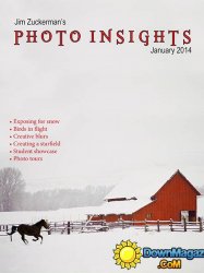 Photo Insights - January 2014