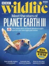 BBC Wildlife - 11.2023