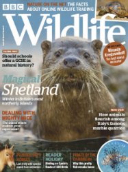 BBC Wildlife - 03.2019