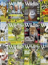 BBC Wildlife - 2015 Full Year