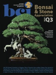 BCI Bonsai & Stone Appreciation - 07/09 2023