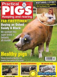 Practical Pigs - Autumn 2016