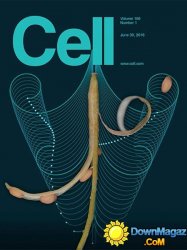 Cell - 30 June 2016