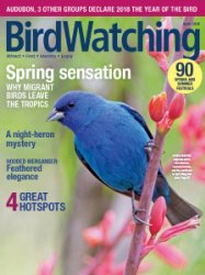 BirdWatching - 04.2018