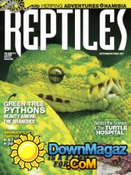 Reptiles - 09/10 2017