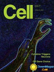 Cell - 10 October 2013